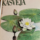 LEINONEN: KESÄRANNAN KASVEJA - pikkukuva 1