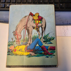 Tex Willer 11/ 1973 - pikkukuva 2