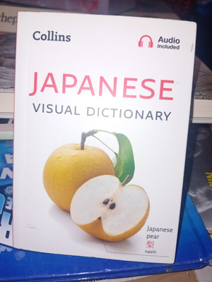 Japani visual dictionary - kuvasanakirja  ( SIS POSTIKULU )