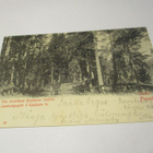 Tammela Kaukkolan harjulta - 1904 Espooseen - pikkukuva 1