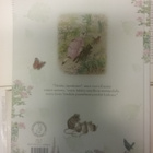 Beatrix Potter - Petteri Kaniinin satumaailma (sid.) - pikkukuva 2