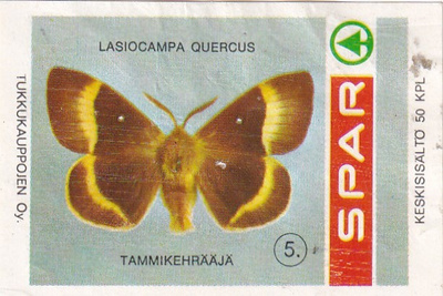 SPAR  5. Tammikehräjä  8/9