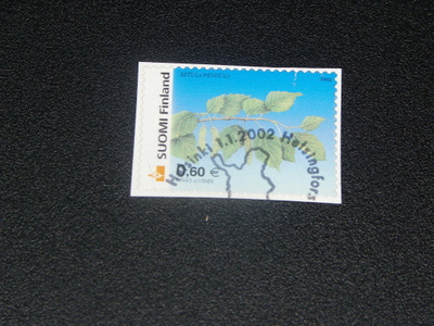 Puita Koivu 2002 Lape 1597 EP-leima