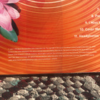 Björk Post LP Vinyyli - pikkukuva 2