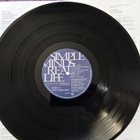 SIMPLE MINDS - REAL LIFE ( 1991 ) - pikkukuva 4