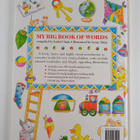 Isabel Clark : My big book of words - pikkukuva 2