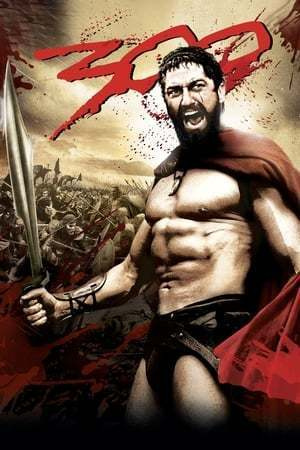 300  -  Limited Edition Steelbook  -  (2 DVD)