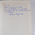 Antero Kajanto : Paluu (tekijän omiste, signeerattu) - pikkukuva 3