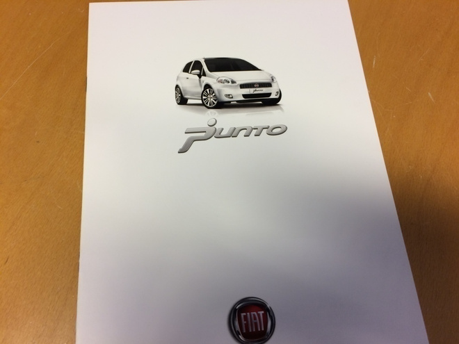 Myyntiesite - Fiat Punto - 1/2010