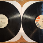 Busta Rhymes - Extinction Level Event...2Lp (EX/VG++/G) - pikkukuva 4
