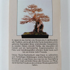 Robert L. Behme : Bonsai : Ein faszinierendes Hobby ; Zuc... - pikkukuva 2