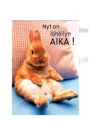 °°NYT ON LÖHÖILYN AIKA!°° -KORTTI /Papron
