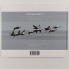Raimo Sundelin : Raumanmeri - pikkukuva 2