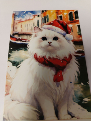 Kissa  kortti, kulkematon.