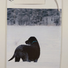 Nuusku 1/2016 - pikkukuva 2