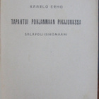 Kaarlo Erho: Tapahtui Pohjanmaan pikajunassa. 238 s. - pikkukuva 4