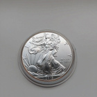 American Eagle 2013 1 oz - pikkukuva 1