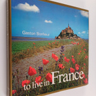 Gaston Bonheur : To Live in France - pikkukuva 1