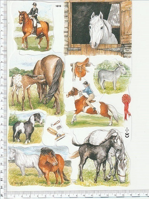 *MLP 1819, hevoset-arkki *