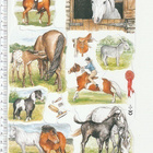 *MLP 1819, hevoset-arkki * - pikkukuva 1