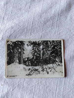 sotavalokuva viholisen ruumiita kasa povetsa 1942