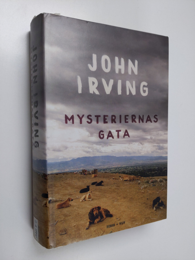 John Irving : Mysteriernas gata : roman