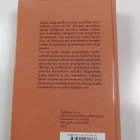 F. Scott Fitzgerald : Yö on hellä - pikkukuva 2