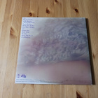 Wild Cherry – Electrified Funk lp 1977 Funk, Disco - pikkukuva 3