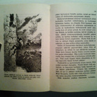 R.L. Stevenson: Musta nuoli, v. 1957 - pikkukuva 4
