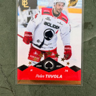 PETER TIIVOLA ÄSSÄT BLUELINE GOLD /100 - pikkukuva 1