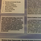 OUTI CAPPEL: SUURI YKSINÄINEN 3 - pikkukuva 3