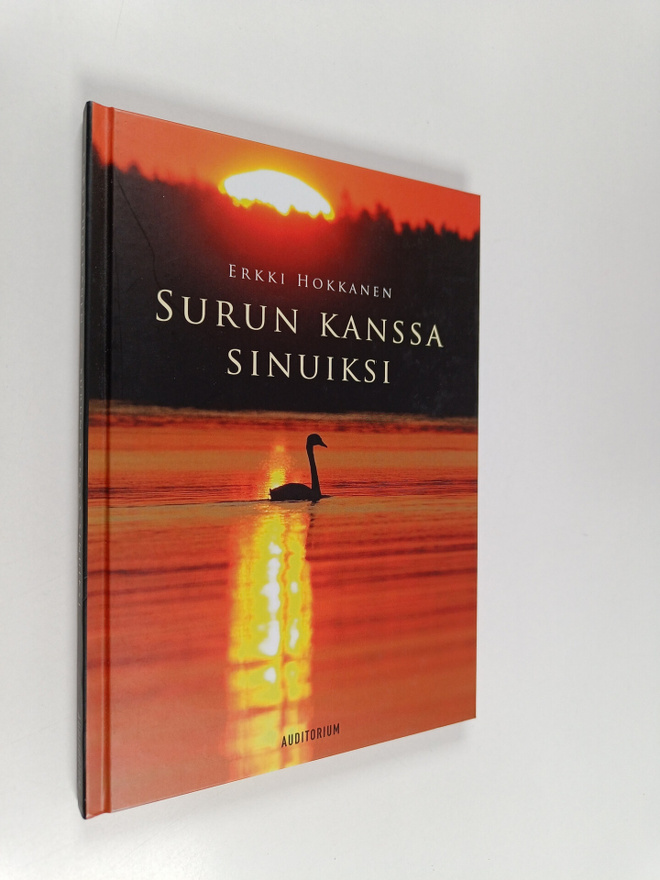Erkki Hokkanen : Surun kanssa sinuiksi