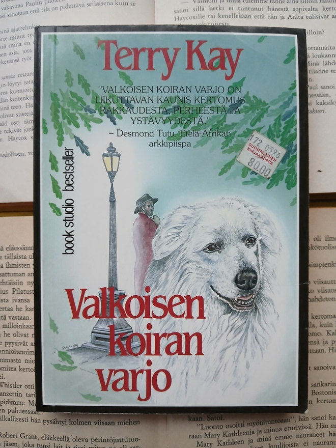 Terry Kay - Valkoisen koiran varjo (nid.)