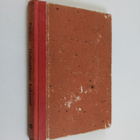 Lucy Fitch Perkins : Hollantilaiset kaksoset - pikkukuva 1
