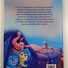 Suzanne Francis : Inside out : mielen sopukoissa - pikkukuva 2