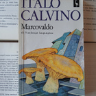 Italo Calvino - Marcovaldo eli Vuodenajat kaupungissa (nid.) - pikkukuva 1