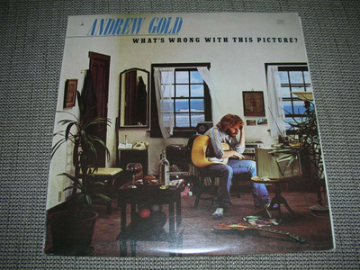LP vinyyli Andrew Gold: What's wrong with this picture?