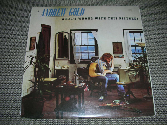 LP vinyyli Andrew Gold: What's wrong with this picture?