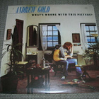 LP vinyyli Andrew Gold: What's wrong with this picture? - pikkukuva 1