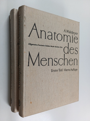 A. Waldeyer : Anatomie des Menschen fur Studierende und Ä...