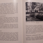 Ennen ja jälkeen 1918 - pikkukuva 3