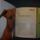 Tracy Libby: Staffordshire Bull Terrier ( Sis.postikulut) - pikkukuva 3