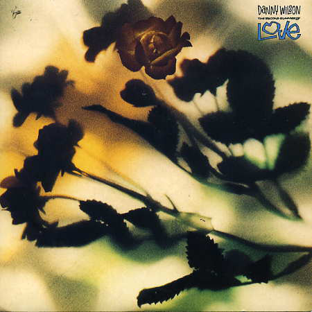 Danny Wilson  – The Second Summer Of Love