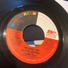 Terry Huff The lonely one 2 versions sgl 1976 - pikkukuva 1
