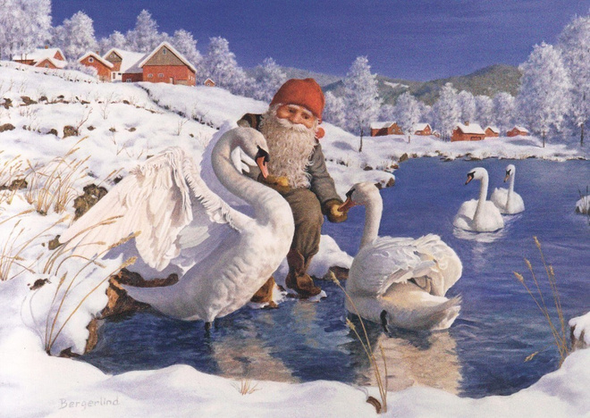 Jan Bergerlind: Tonttu syöttää joutsenia