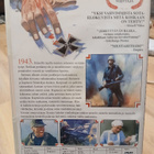 Rautaristi dvd - pikkukuva 2