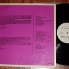 PAAVO TIUSANEN & KARI TOLVANEN - LP 1978 haitari instr. NM - pikkukuva 2