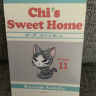 CHI’S SWEET HOME 11 (OMA KOTI KULLAN KALLIS) ENGL. - pikkukuva 1