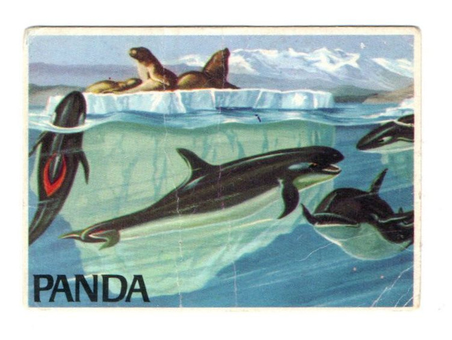 Purkkakuva Panda MEREN SALAISUUDET n:o 73