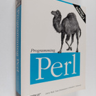 Larry Wall : Programming Perl - pikkukuva 1